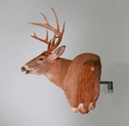  Classic tag on Mount 