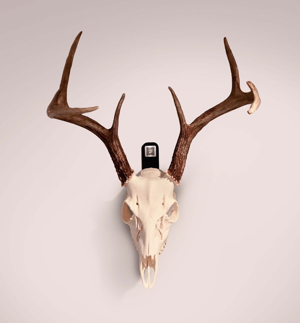 Euro Mount Bracket with Mount Tag