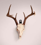 Euro Mount Bracket with Mount Tag