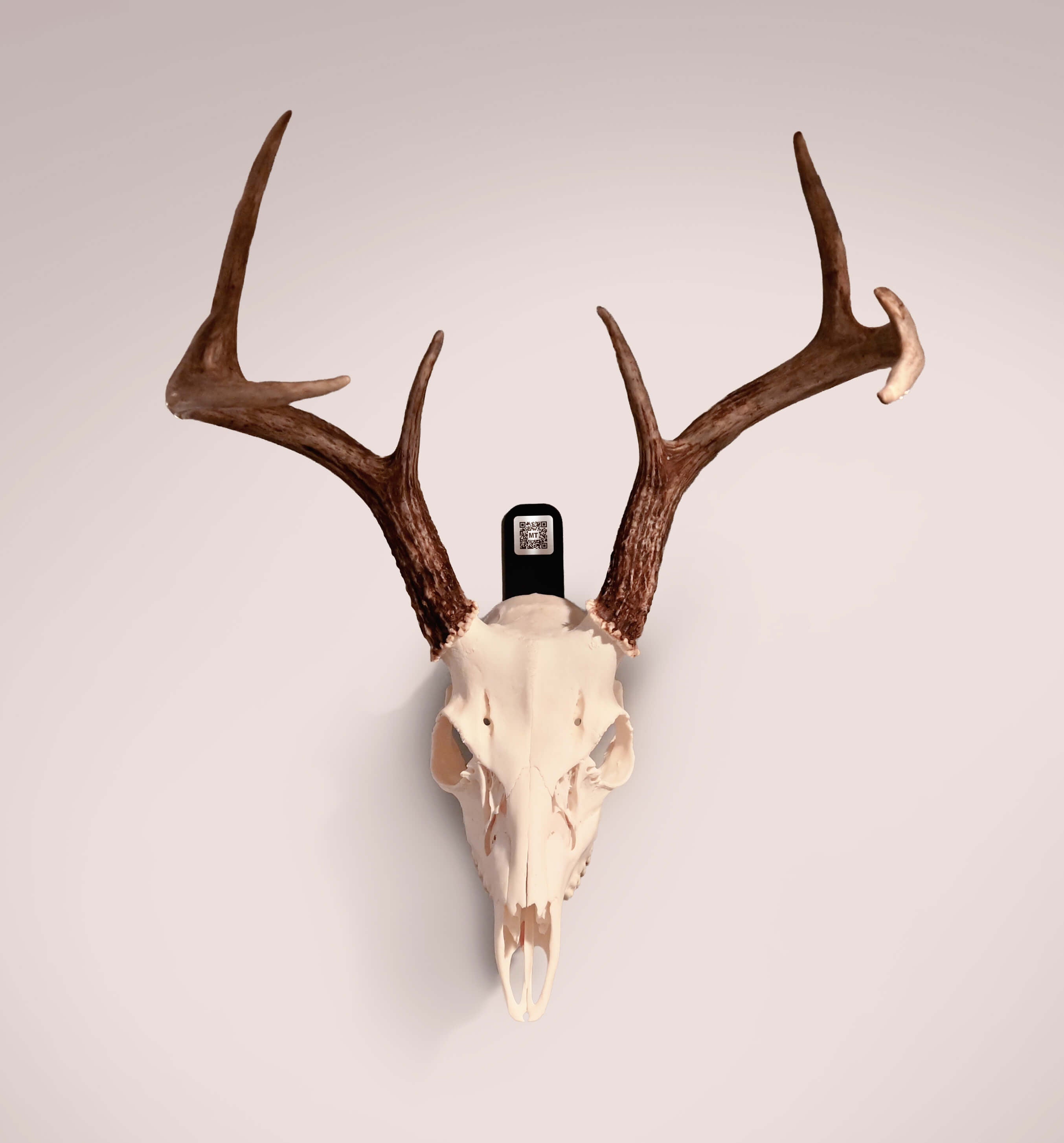 Euro Mount Bracket with Mount Tag