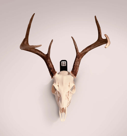 Euro Mount Bracket with Mount Tag