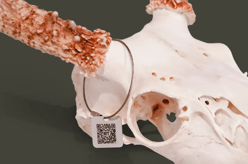 Euro Skull with Multi Tag