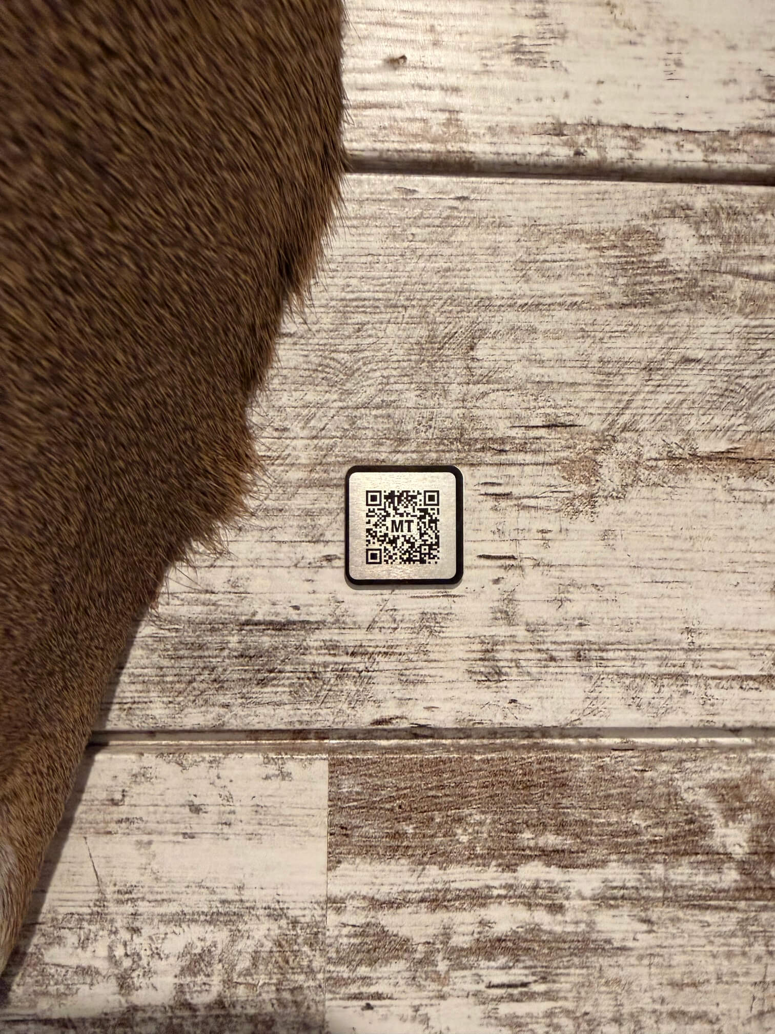Black Classic Tag