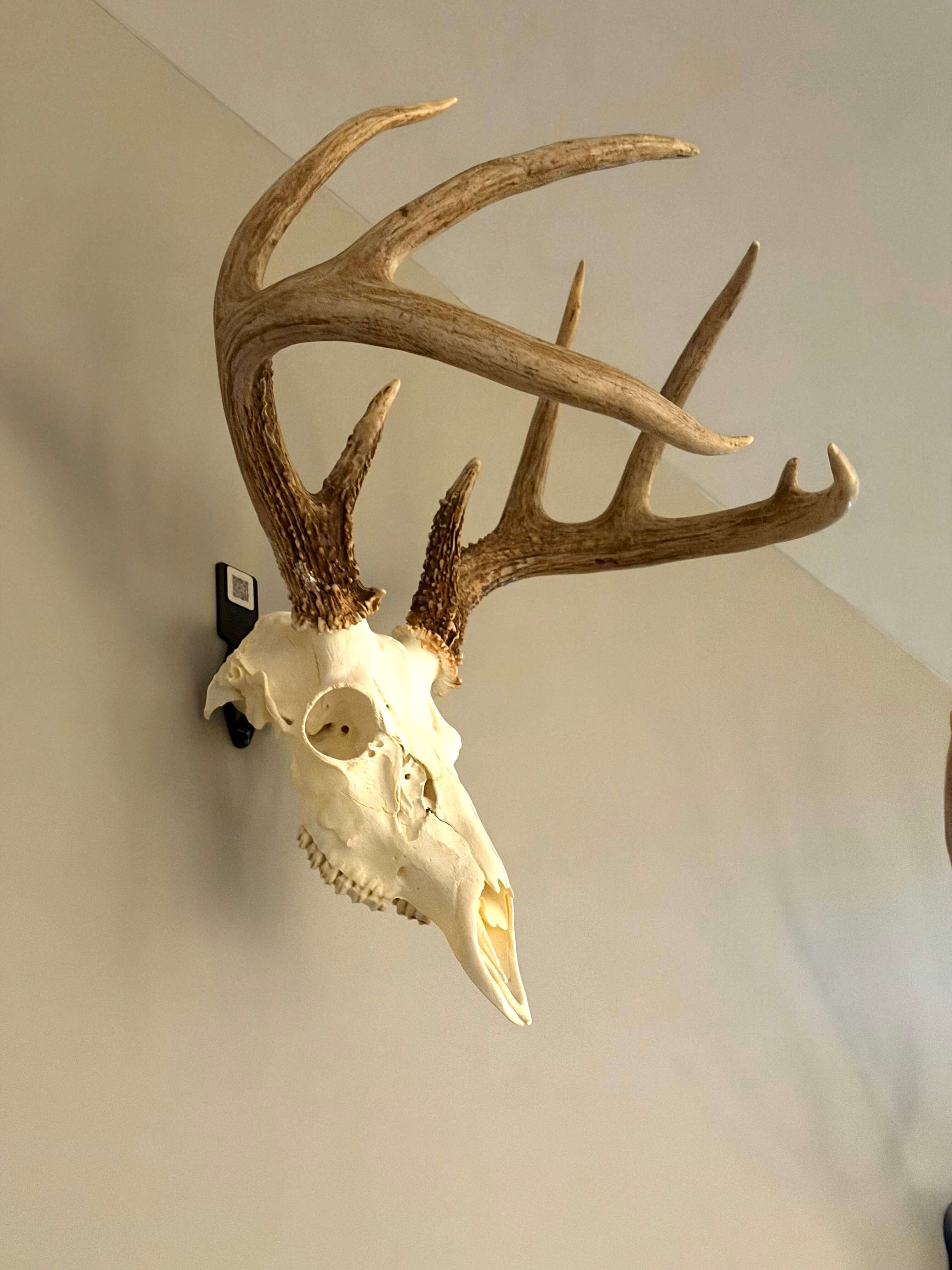 Euro Mount Bracket with Mount Tag